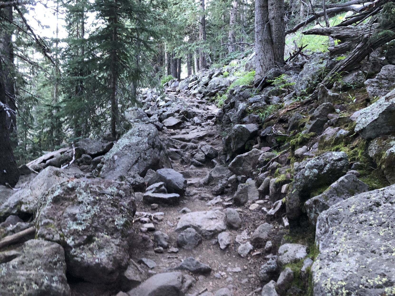 hump trail hazards